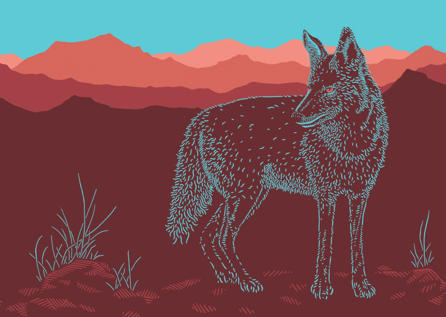 Radio Coyote