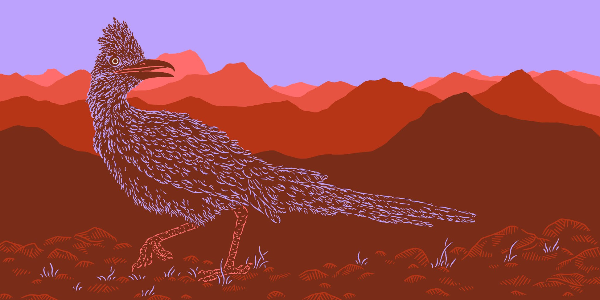 65b2bb63f348b87cbe1f70aa_dangrissom-roadrunner_1782250882549.jpg