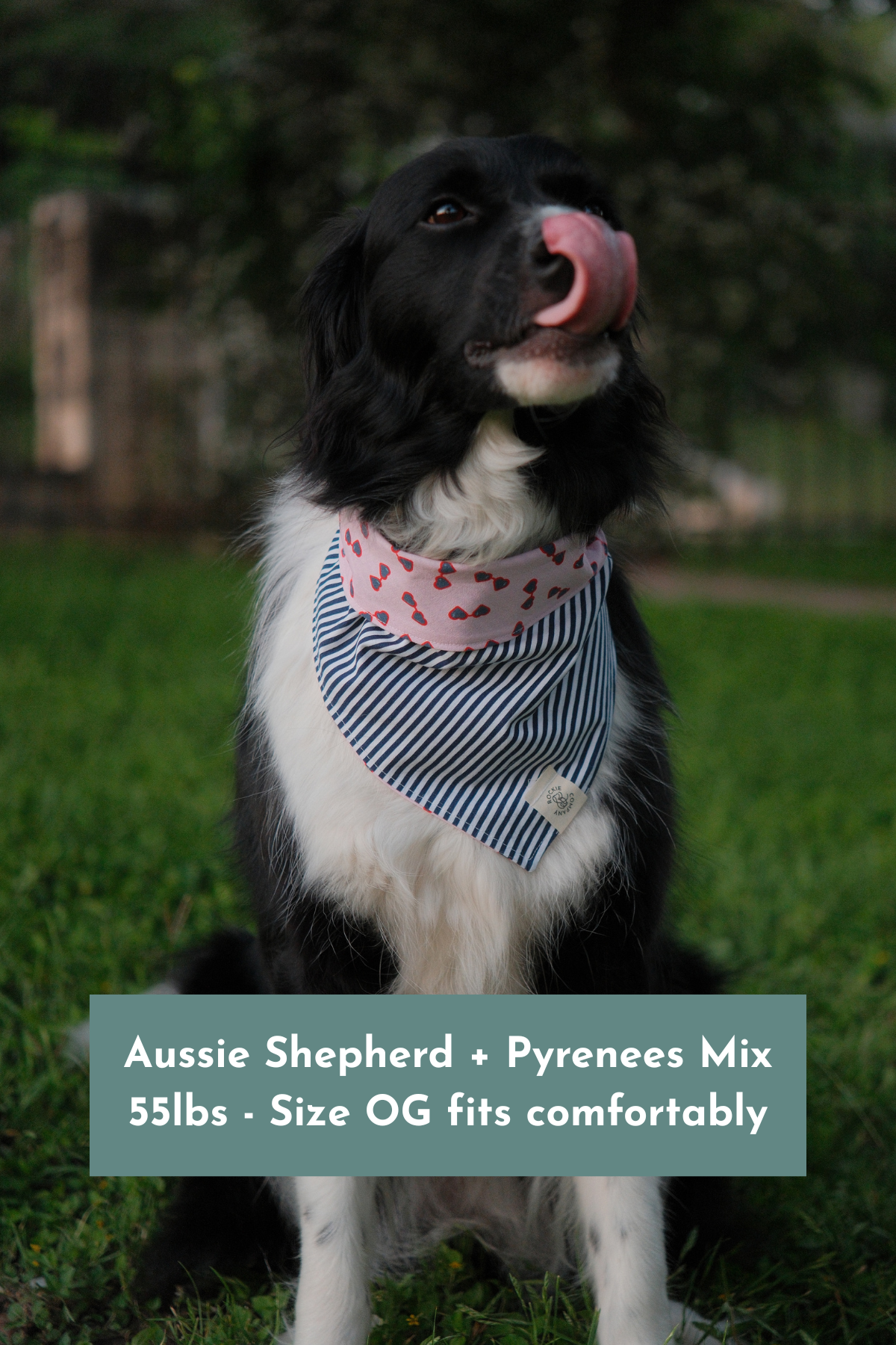 65b2bb63f348b87cbe1f70aa_dog-bandanas-handmade-in-austin-tx-6-x-4-in-4-x-6-in-12_1787178993927.png