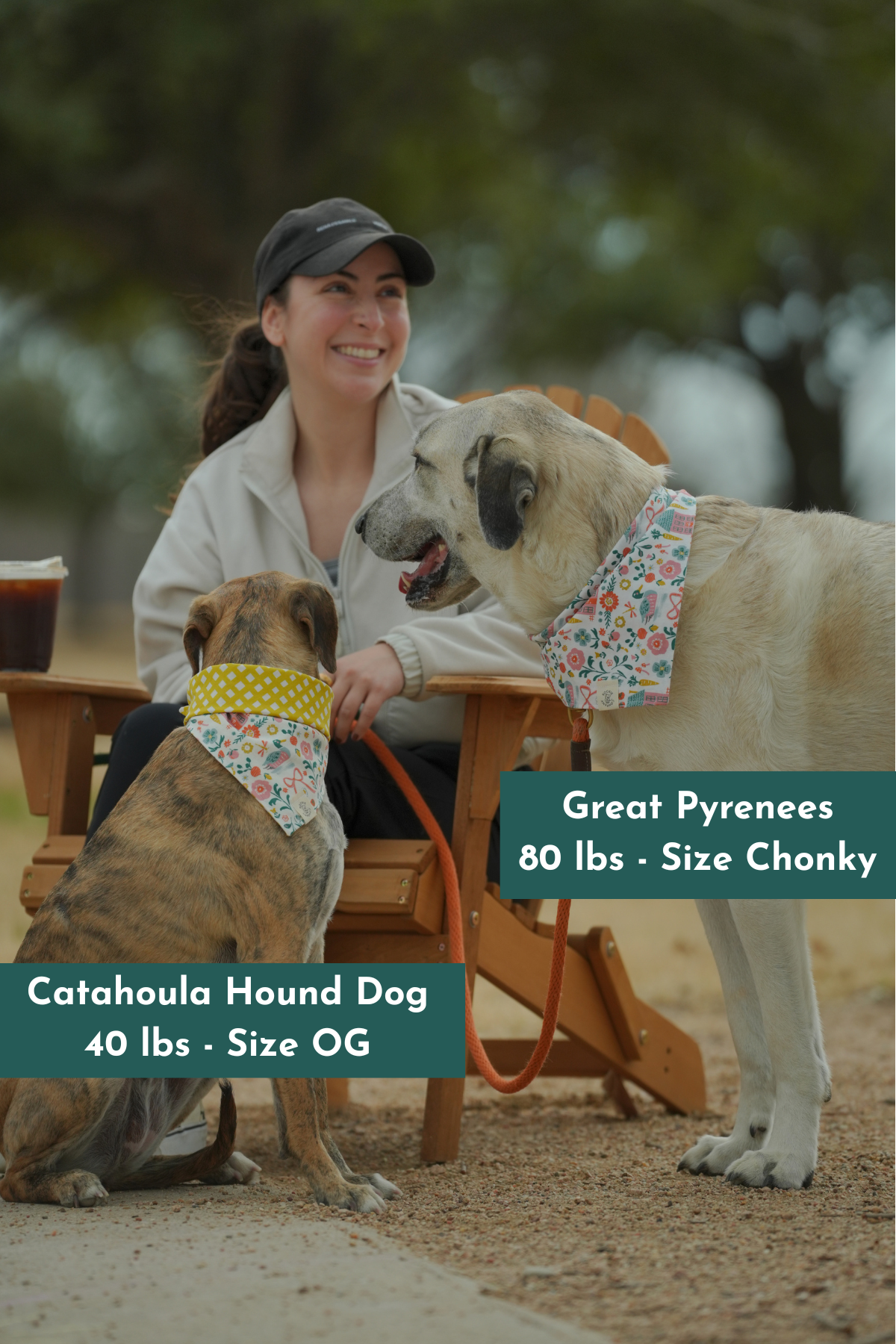 65b2bb63f348b87cbe1f70aa_dog-bandanas-handmade-in-austin-tx-6-x-4-in-4-x-6-in-13_1787325499568.png