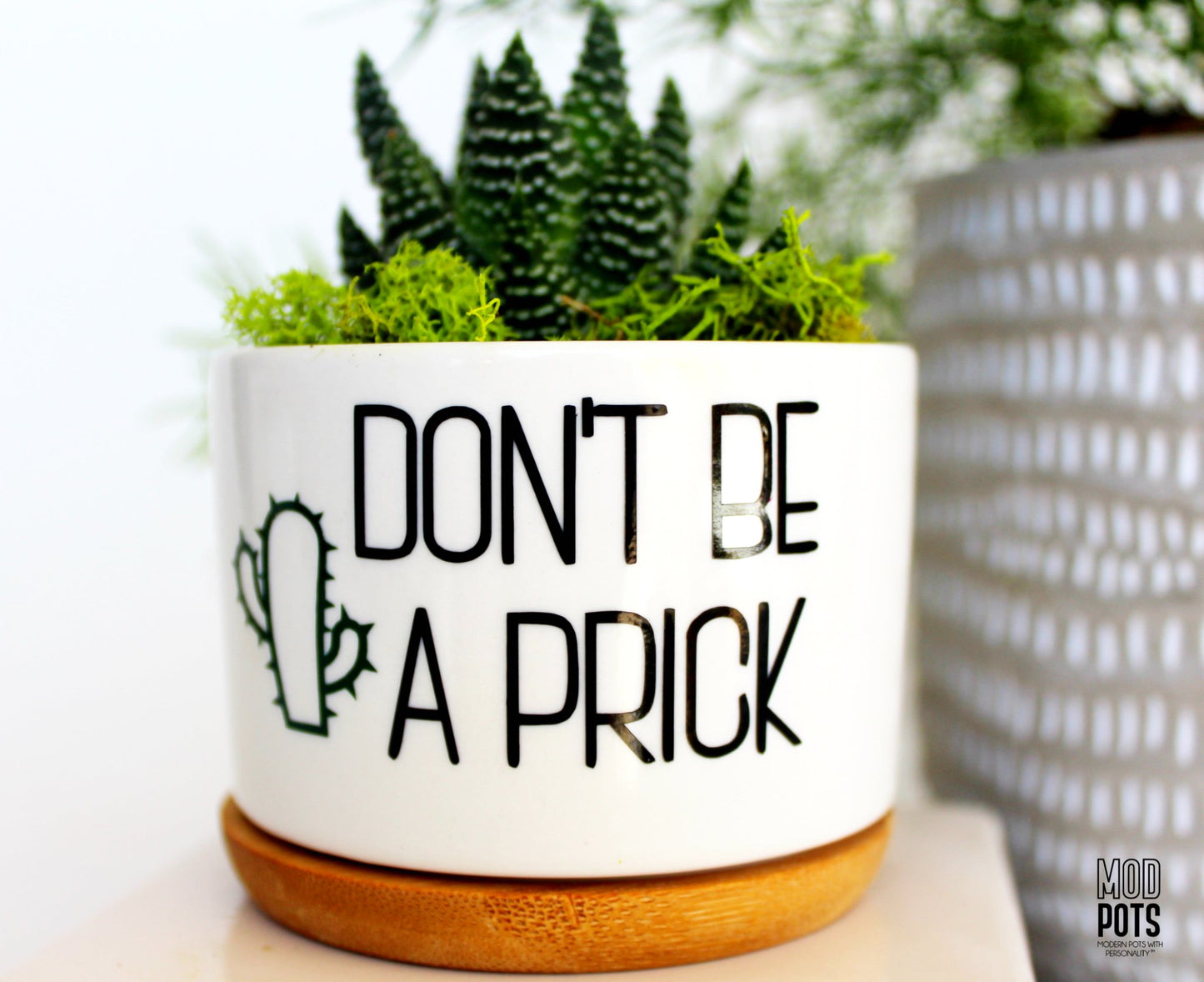65b2bb63f348b87cbe1f70aa_dont-be-a-prick-3_1776181176637.jpg