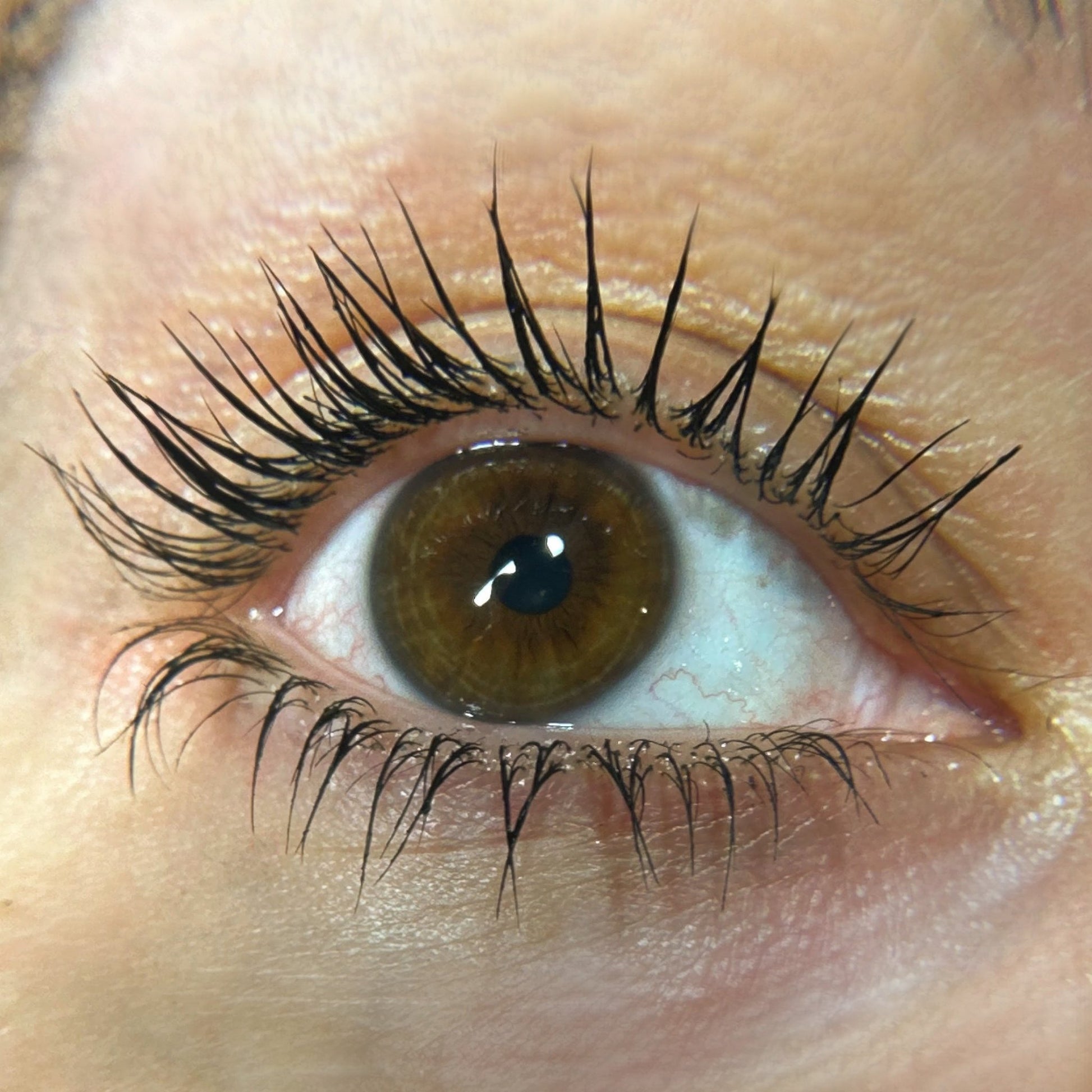 65b2bb63f348b87cbe1f70aa_eyeheart-lashes2_1758574482919.jpg