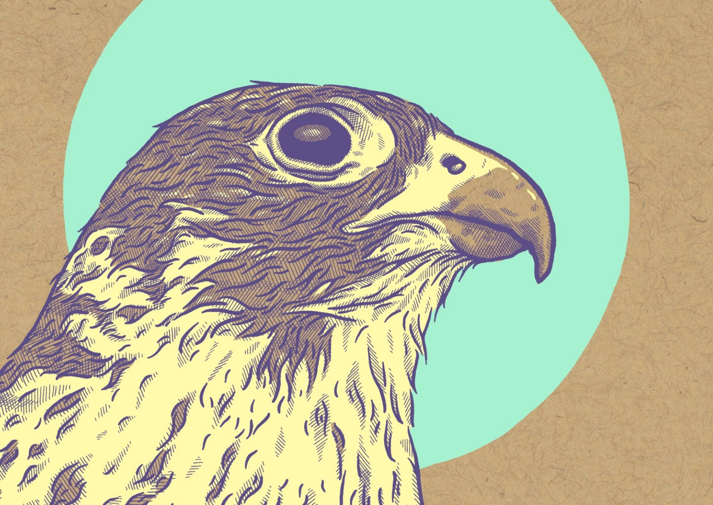 65b2bb63f348b87cbe1f70aa_falcon_1782249889841.jpg