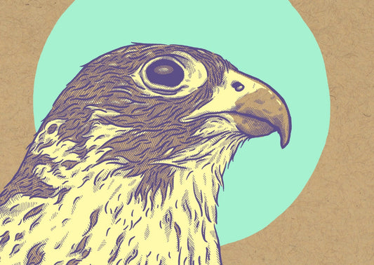 65b2bb63f348b87cbe1f70aa_falcon_1782249889841.jpg