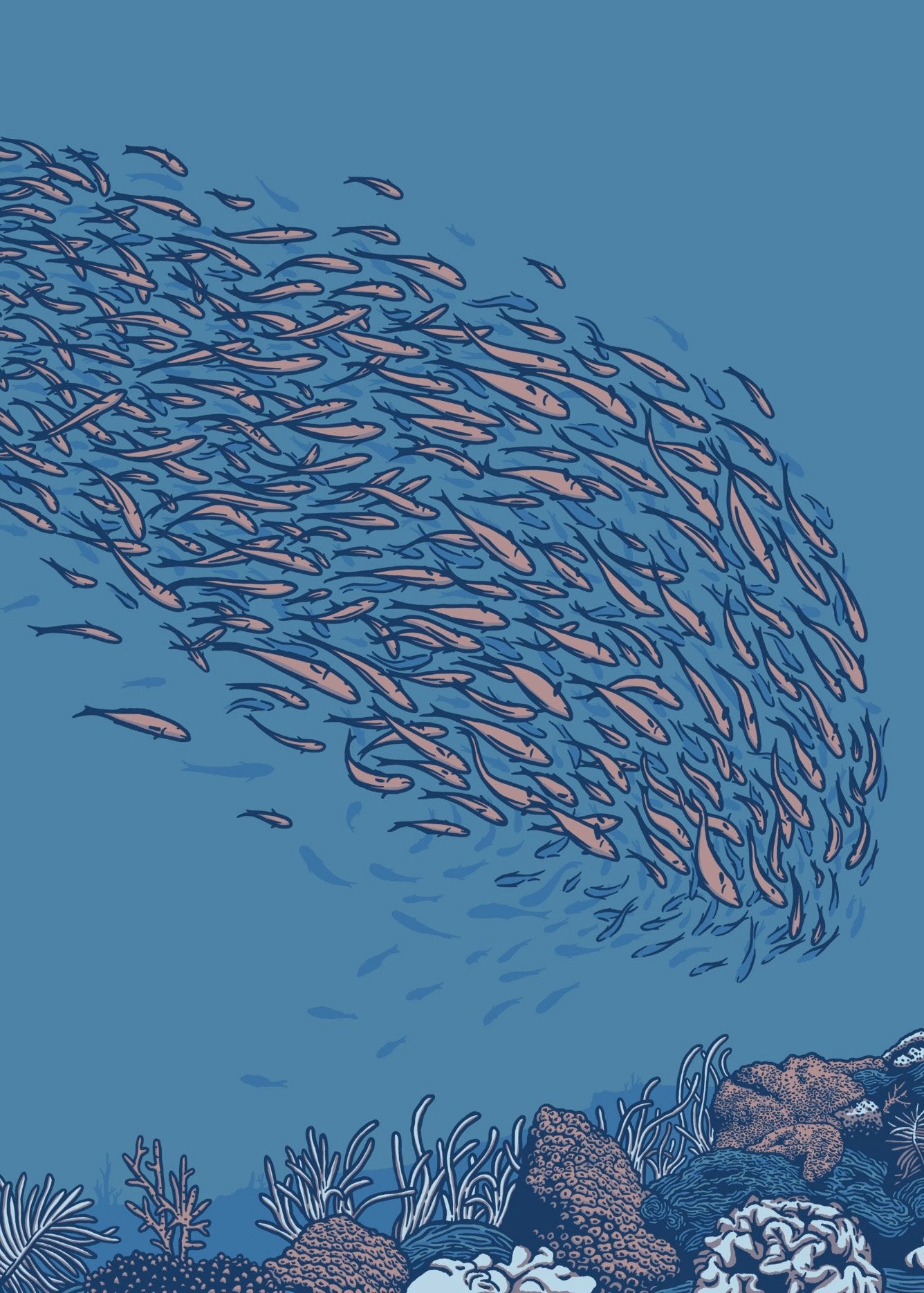 65b2bb63f348b87cbe1f70aa_fish_1782250095419.jpg