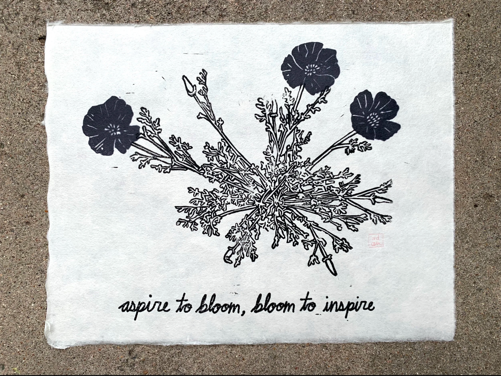 65b2bb63f348b87cbe1f70aa_good-am-aa-aspire-to-bloom-black_1783447127038.png