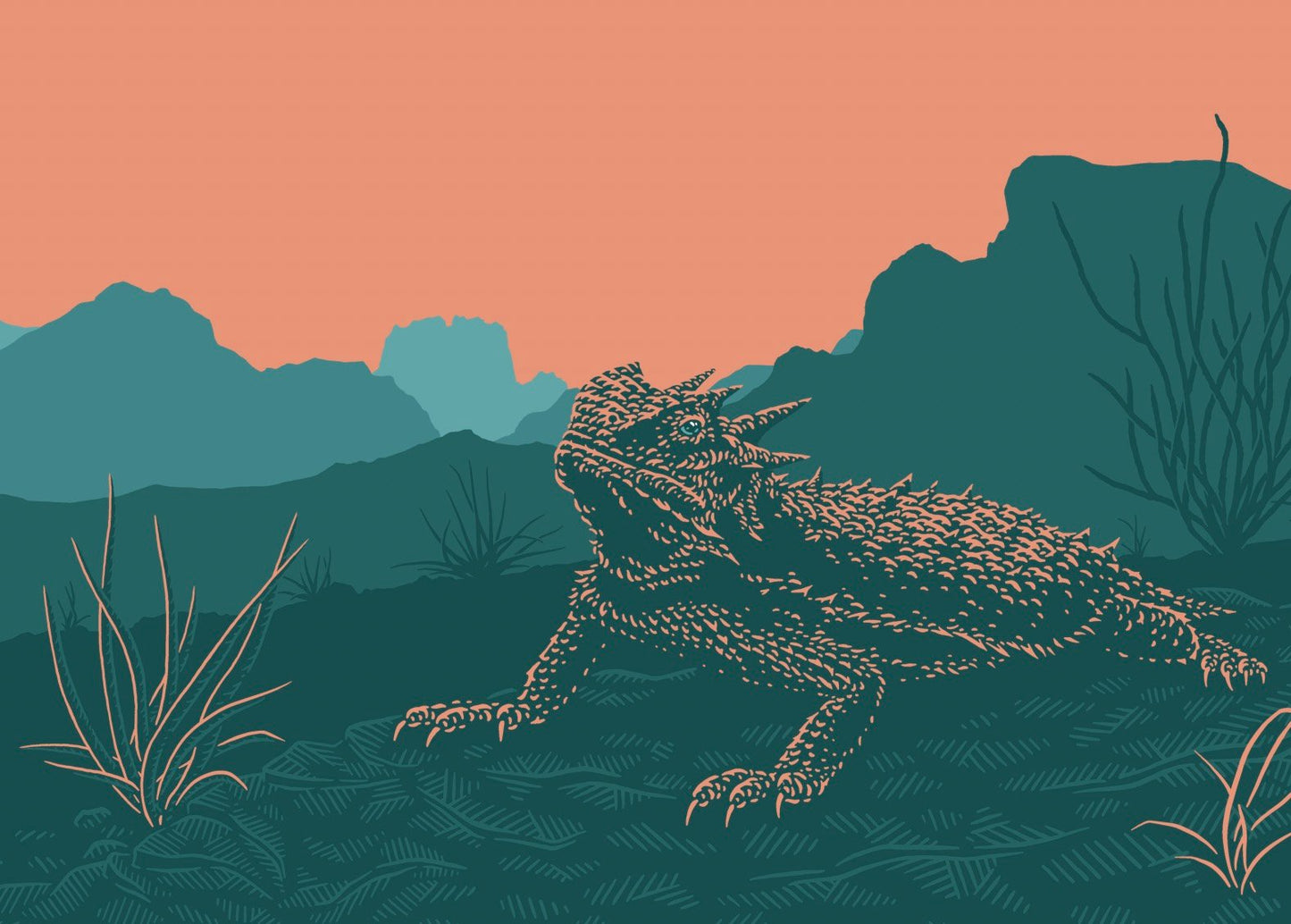 Texas Horny Toad