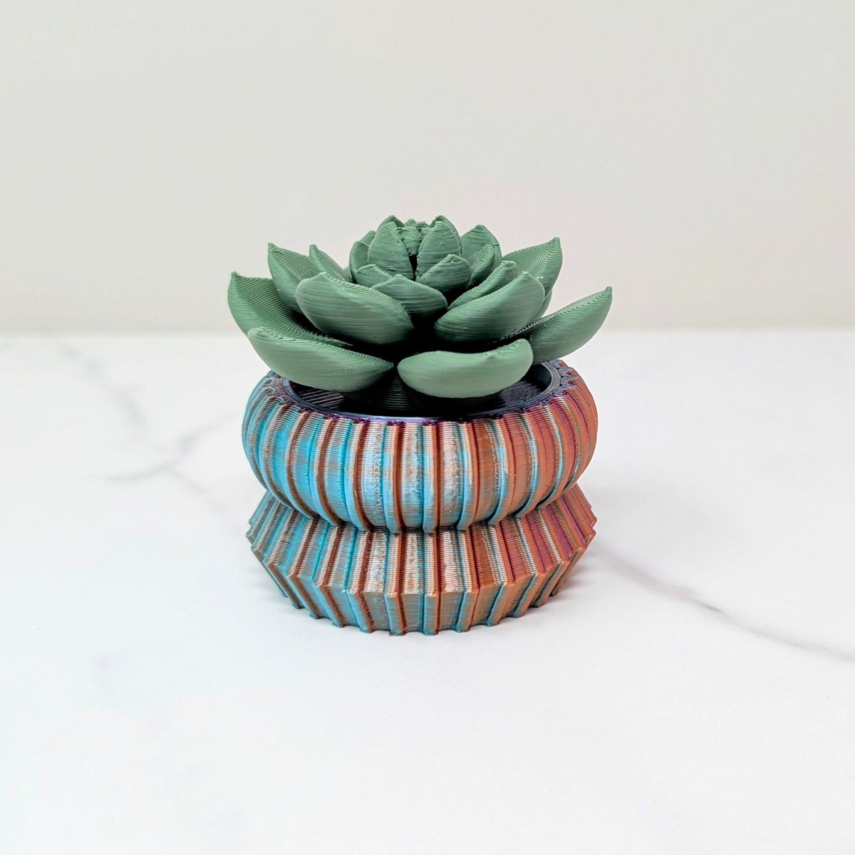 65b2bb63f348b87cbe1f70aa_large-spinner-echeveria-g-dd_1788962554986.jpg