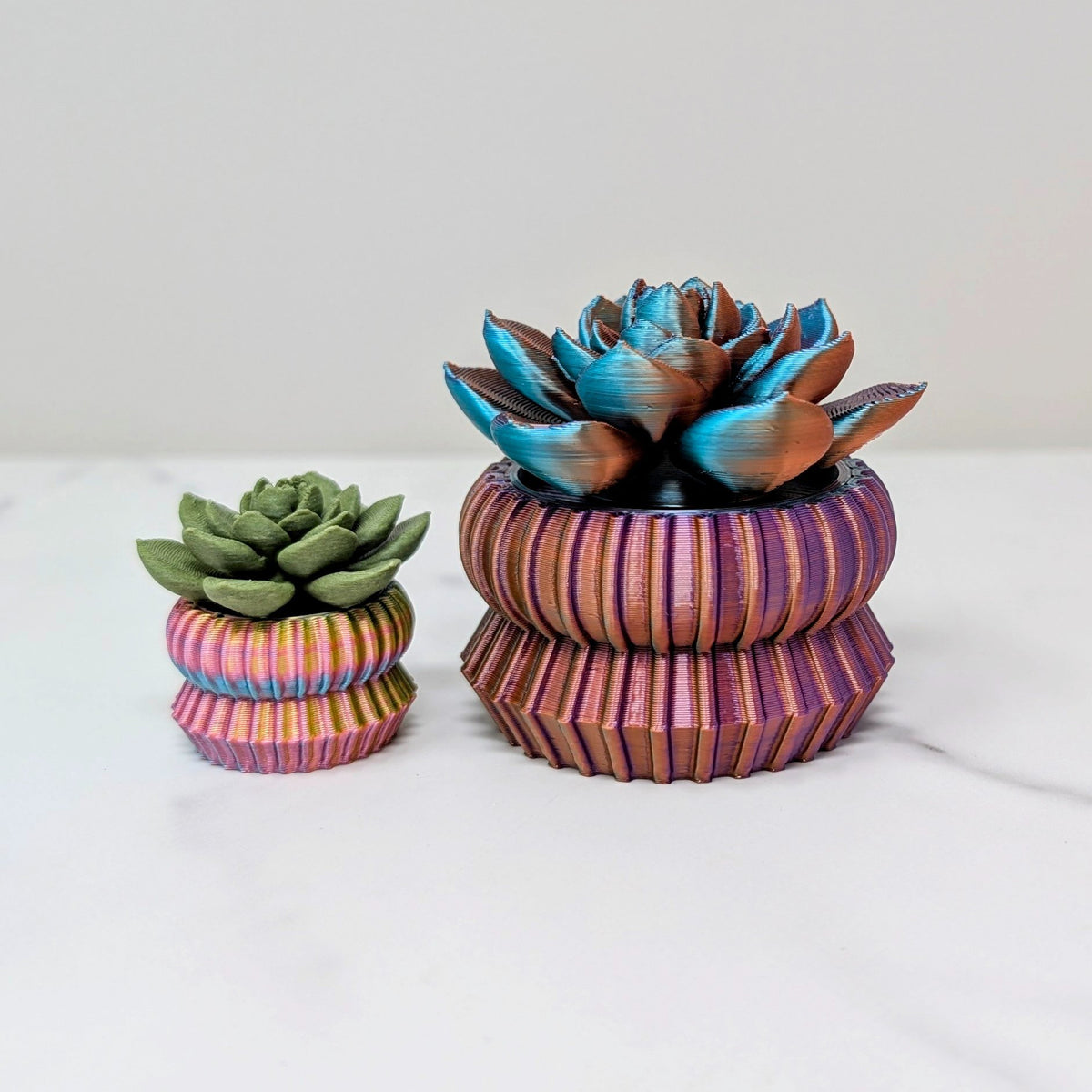 65b2bb63f348b87cbe1f70aa_large-spinner-echeveria_1788962554987.jpg