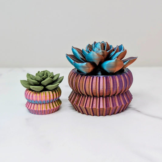 65b2bb63f348b87cbe1f70aa_large-spinner-echeveria_1788962554987.jpg