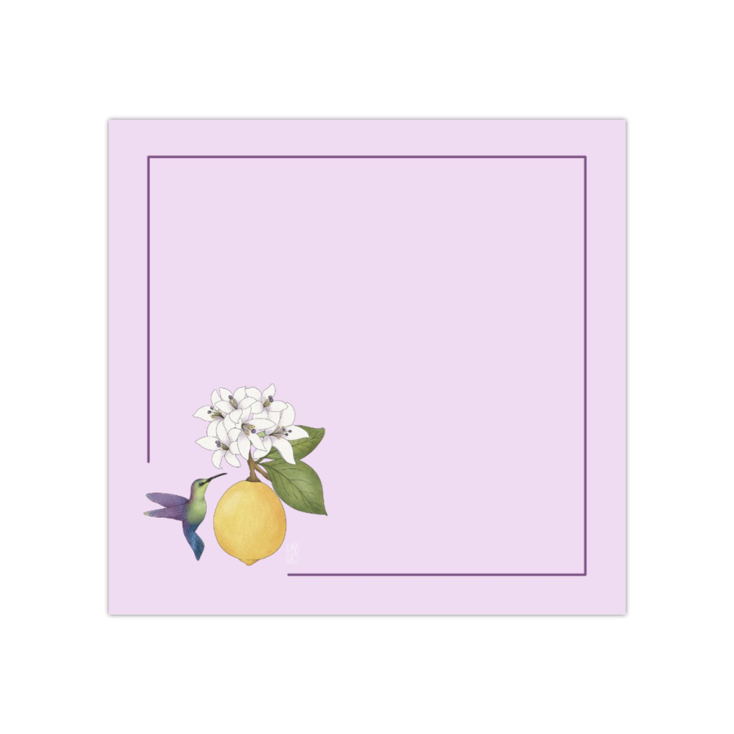65b2bb63f348b87cbe1f70aa_lemon-hummingbird_1752555376516.png