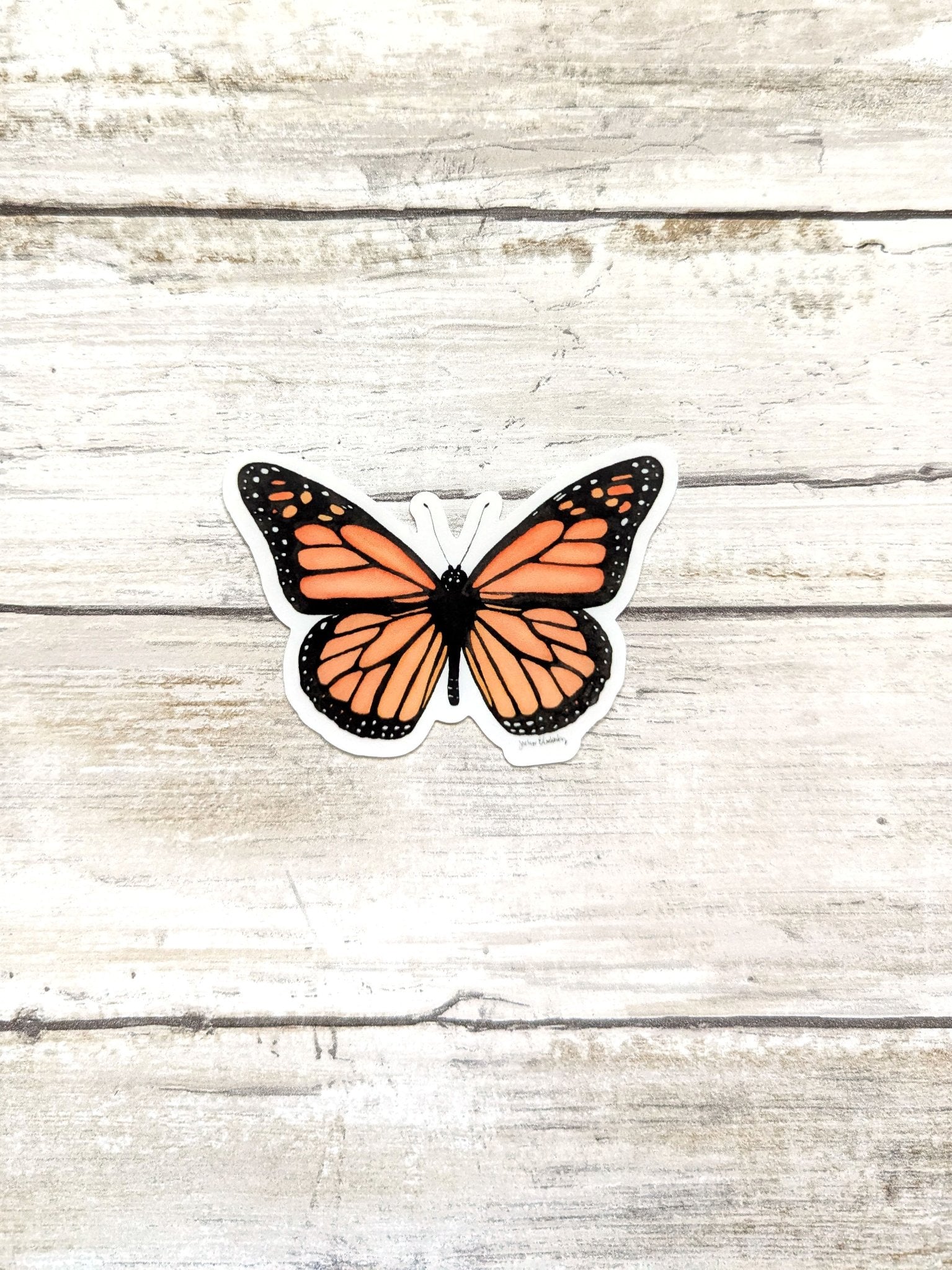 65b2bb63f348b87cbe1f70aa_monarch-butterfly-sticker_1751989738265.jpg
