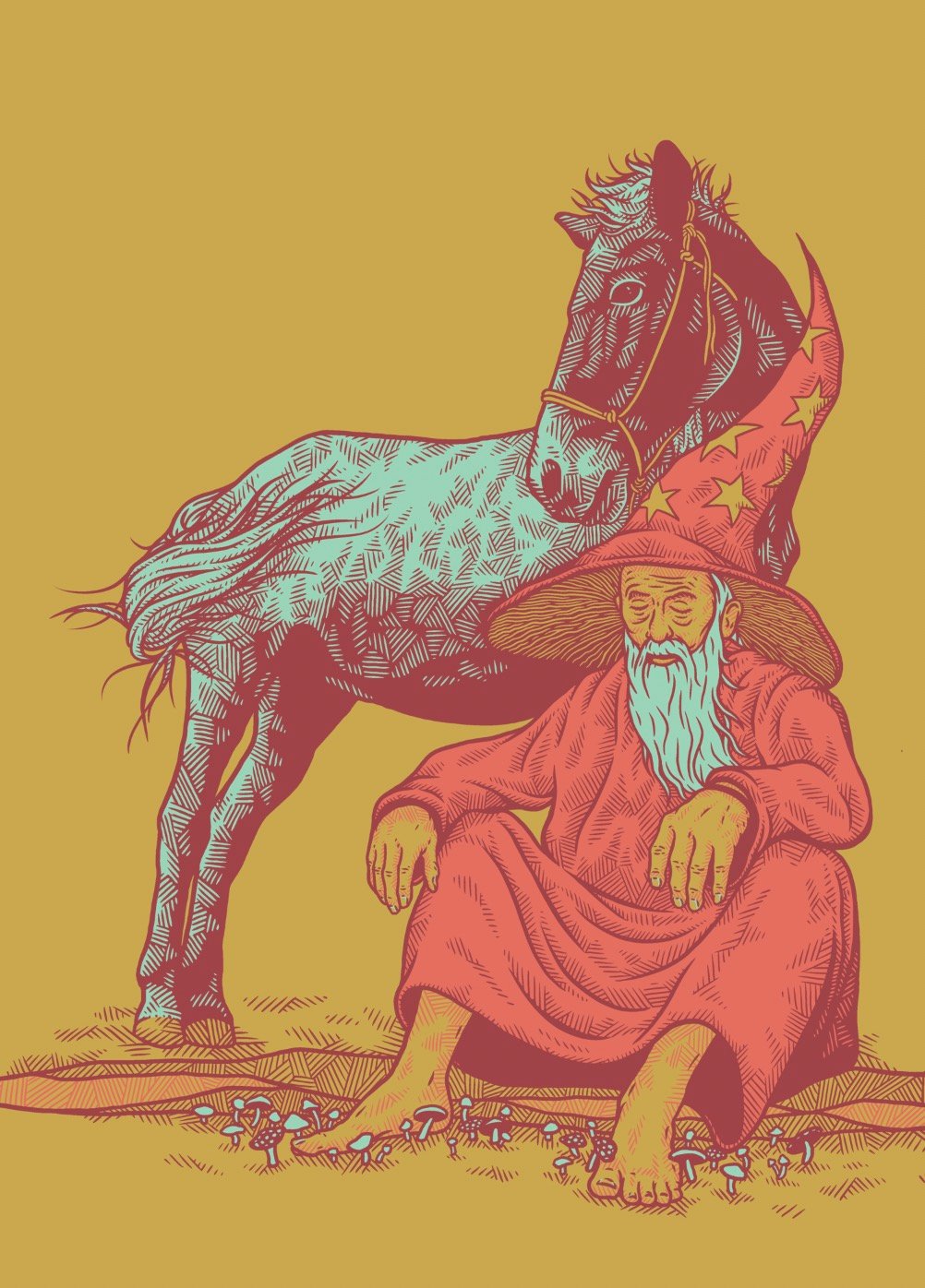 Mushroom Wizard