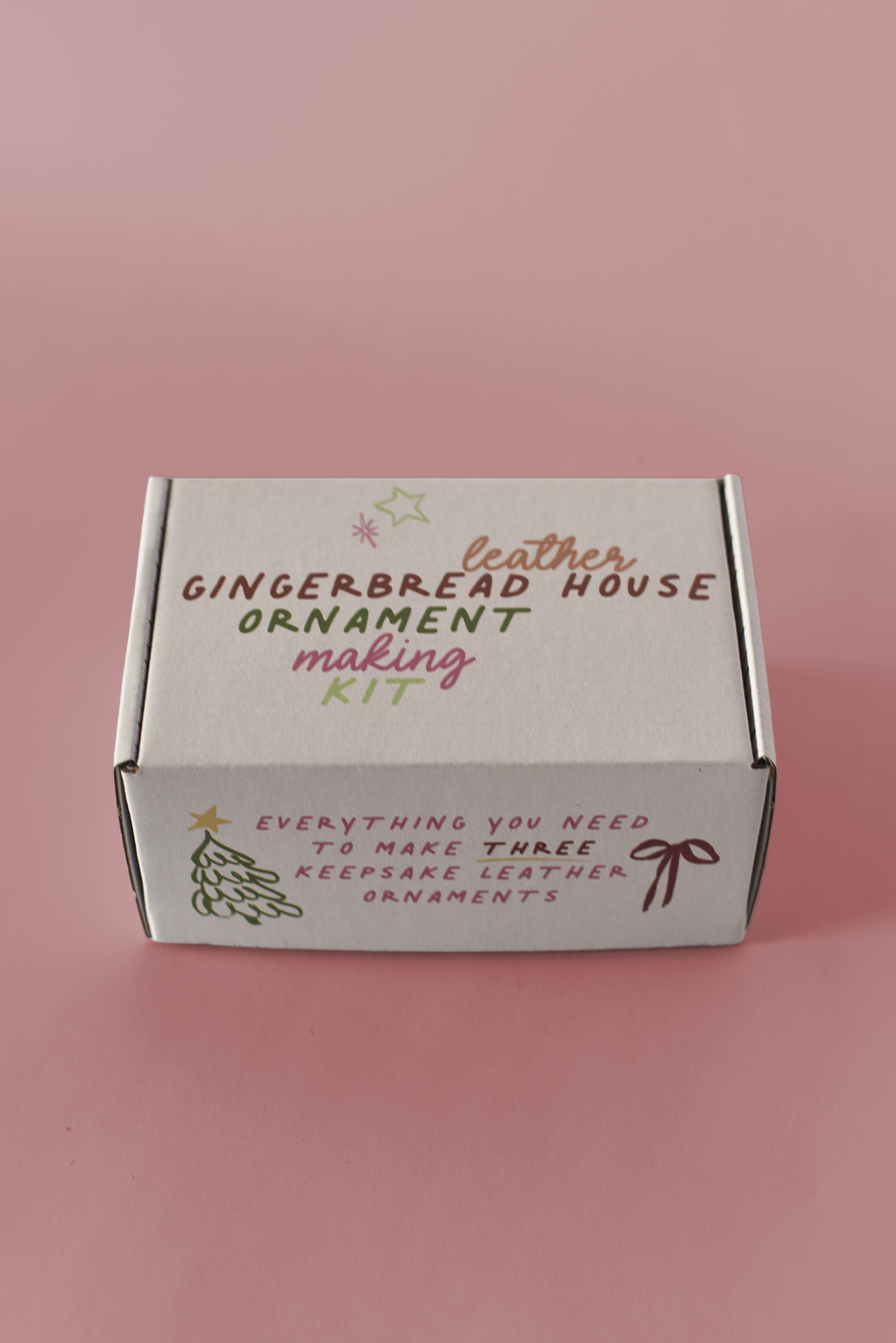 65b2bb63f348b87cbe1f70aa_ornament-kit-box-front-pink-bkgd_1763392971287.png