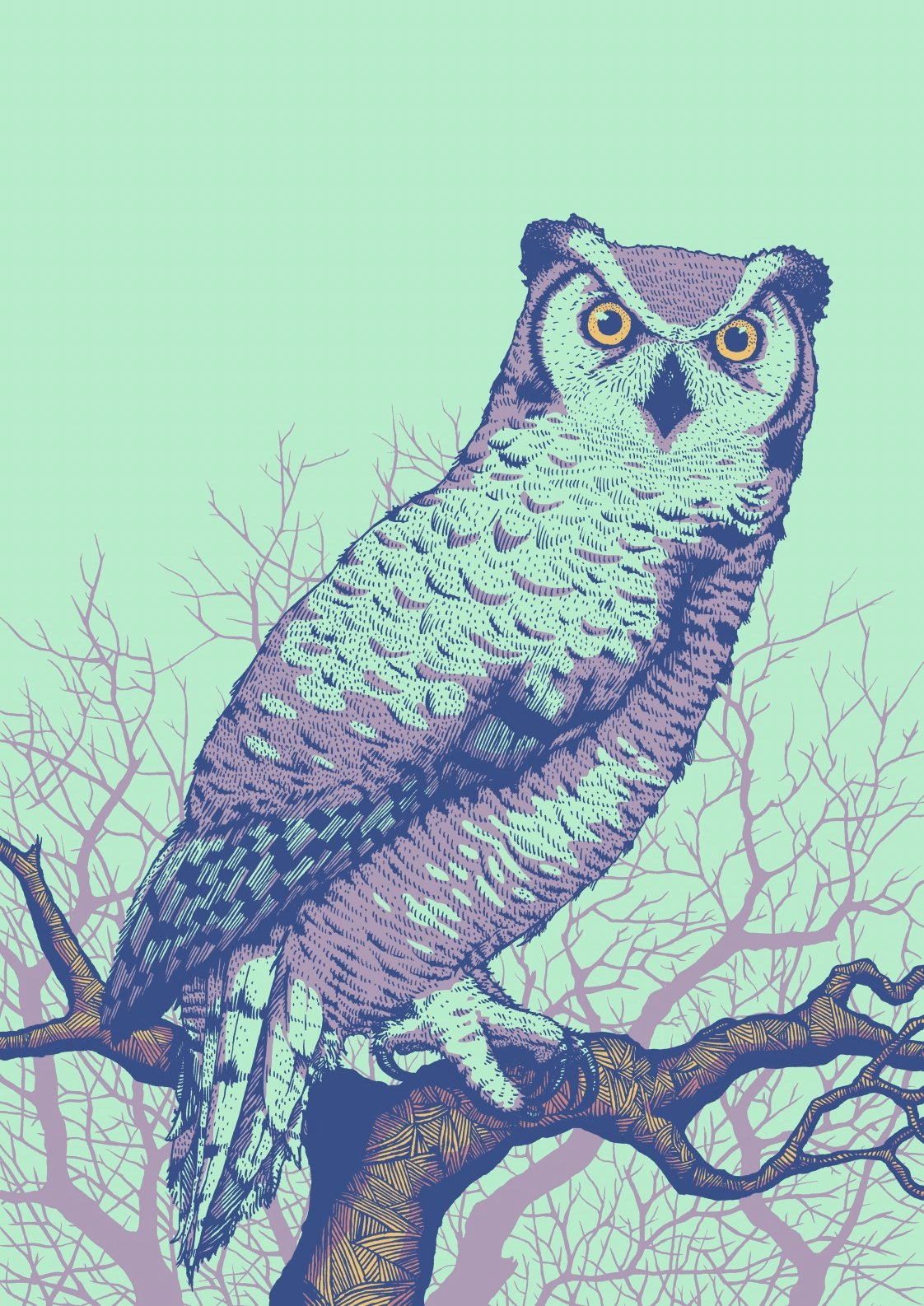65b2bb63f348b87cbe1f70aa_owl_1782249995829.jpg