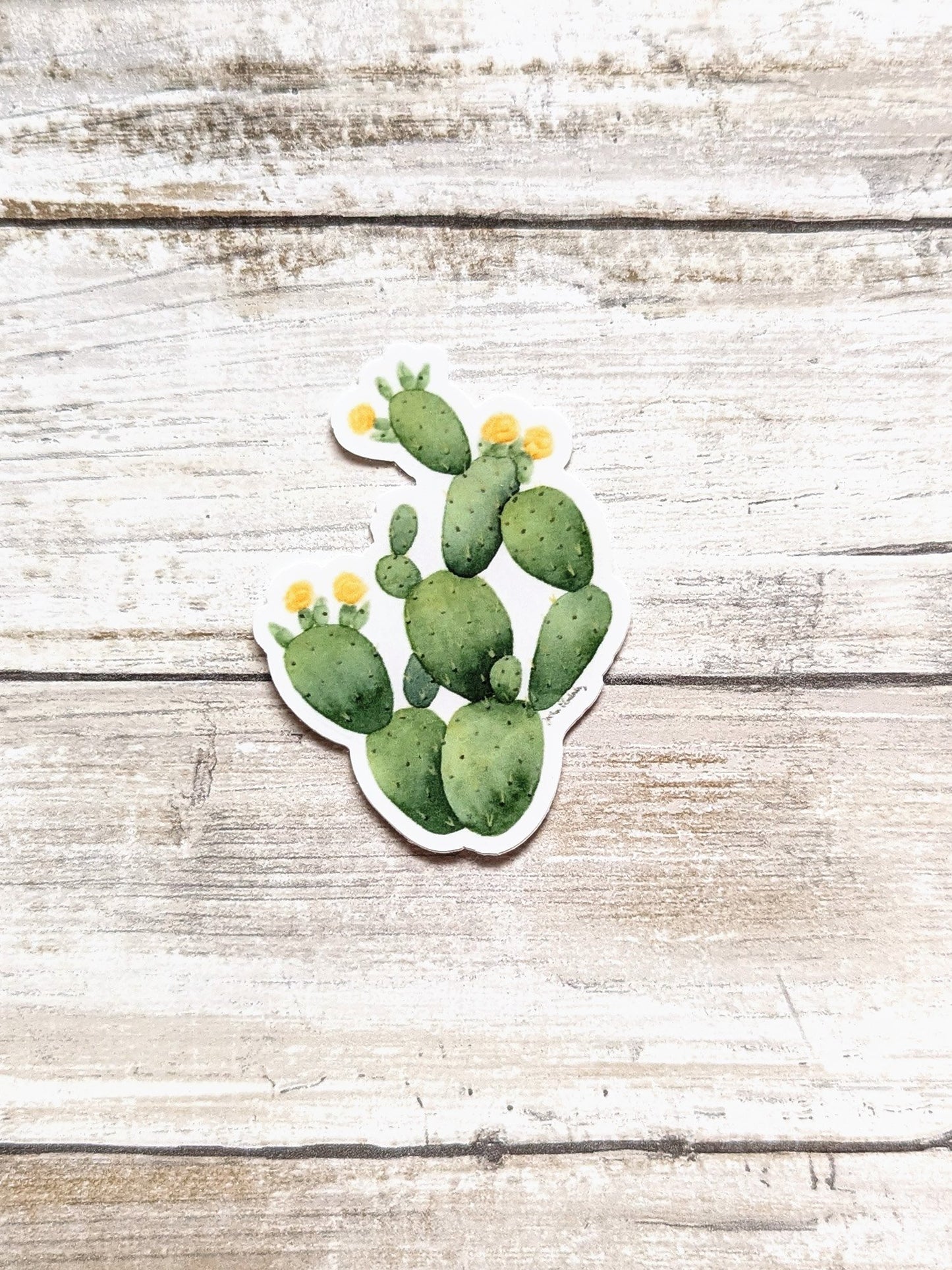 65b2bb63f348b87cbe1f70aa_prickly-pear-cactus-sticker_1751989738265.jpg