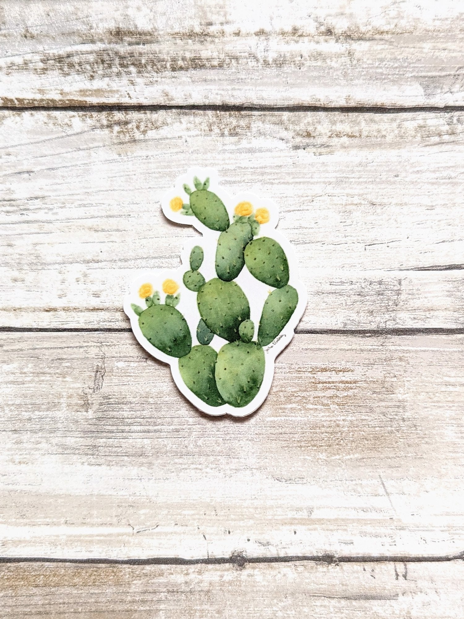 65b2bb63f348b87cbe1f70aa_prickly-pear-cactus-sticker_1751989738265.jpg