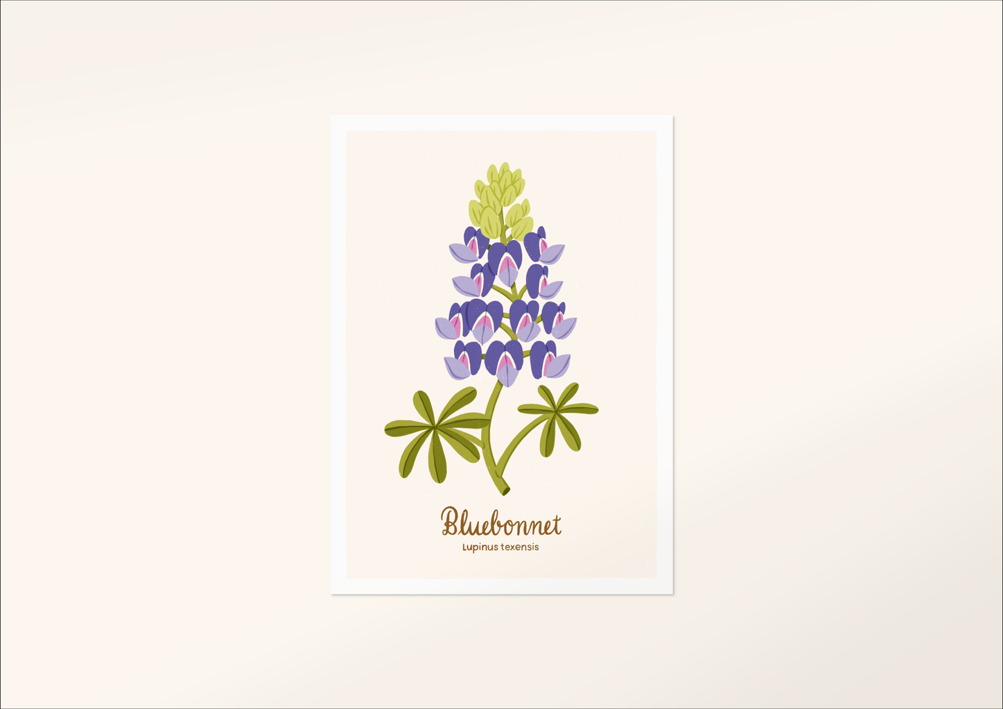 5x7 Wildflower Prints