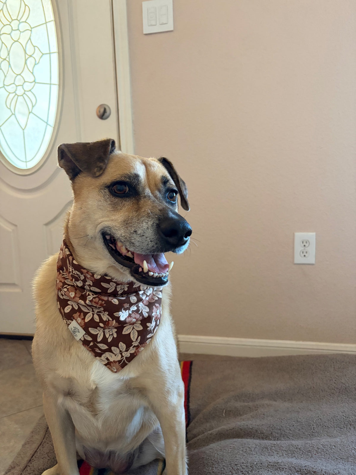 65b2bb63f348b87cbe1f70aa_tempimageg5oxk0_1787324984045.jpg