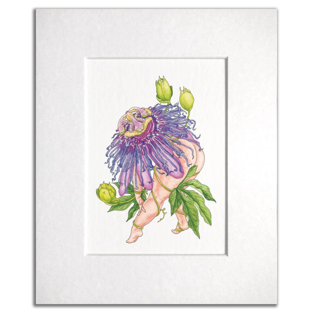 65b2bb63f348b87cbe1f70aa_vertical-productimages-passionflower_1785360648208.jpg