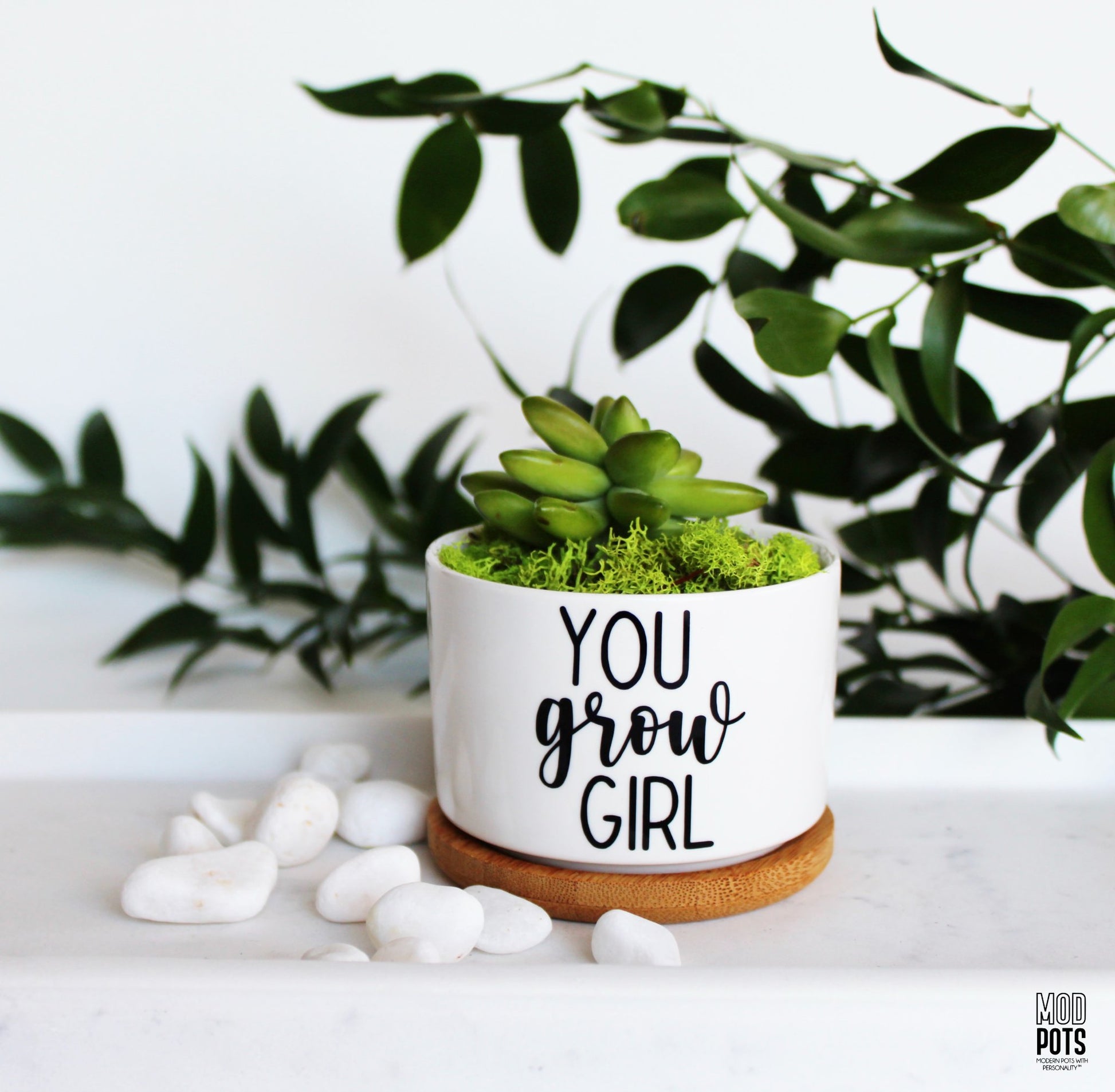 65b2bb63f348b87cbe1f70aa_you-grow-girl-2_1776182735952.jpg