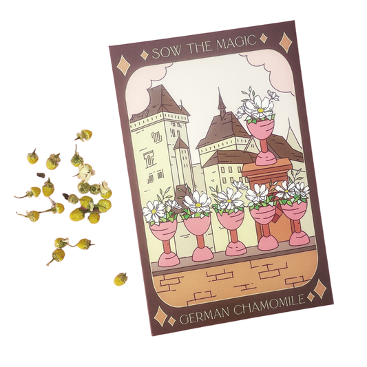 Seed Packet- German Chamomile Tarot Garden + Gift
