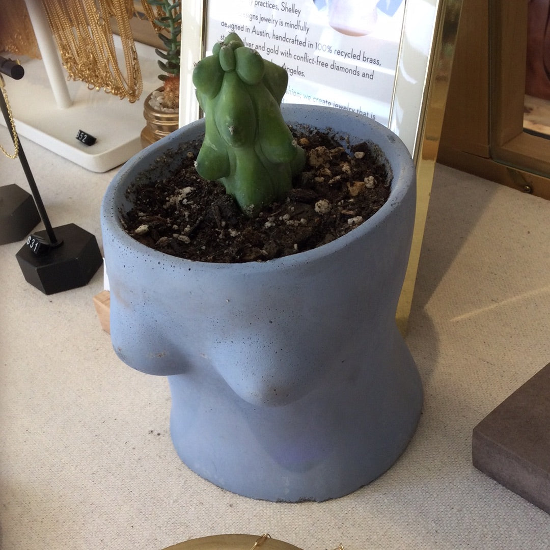 Boobie planter with boobie cactus