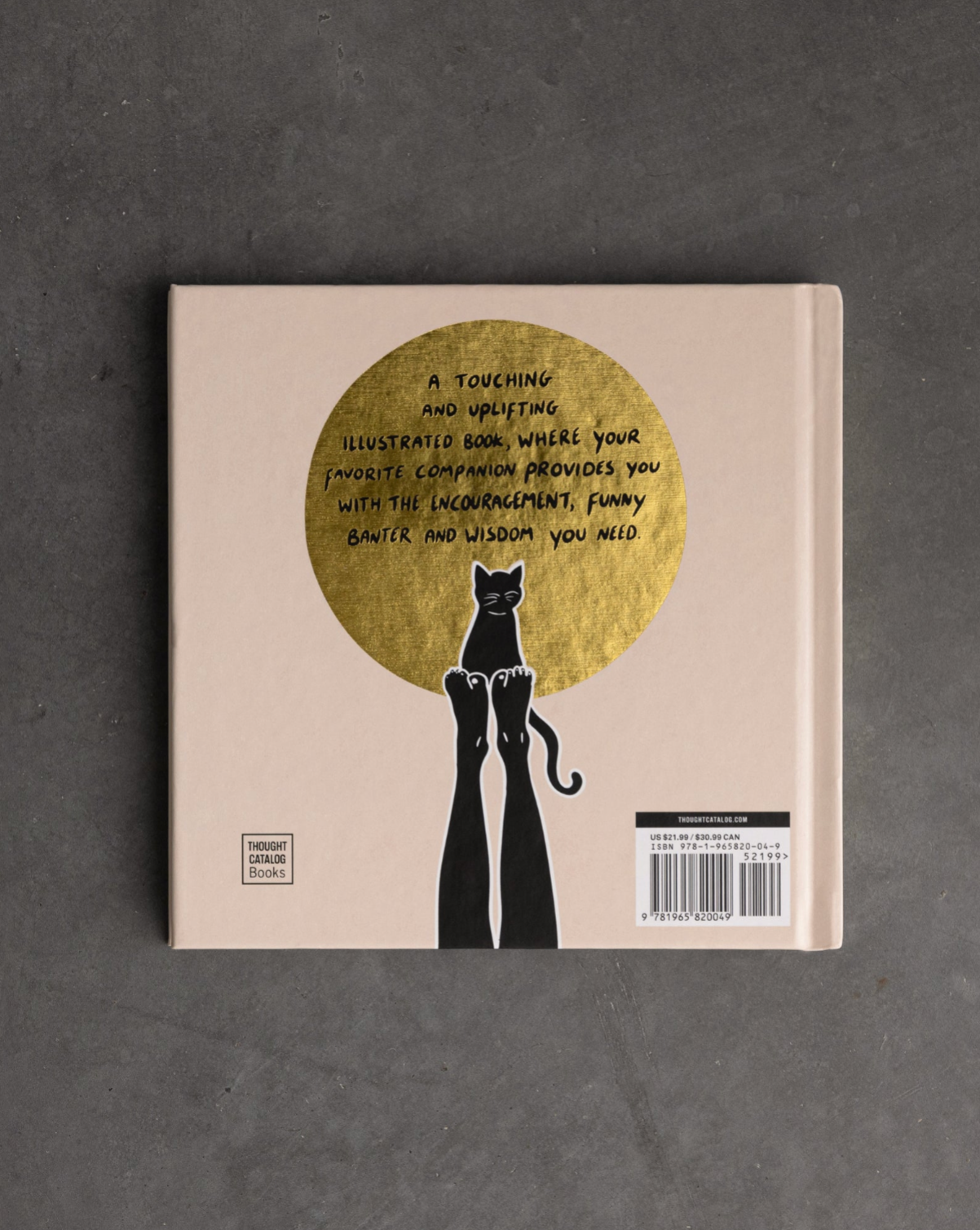 Conversations With My Cat - illustrated book