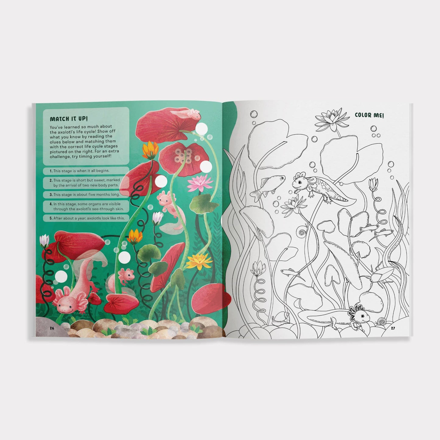 Amazing Axolotls: An Activity Book for Kids
