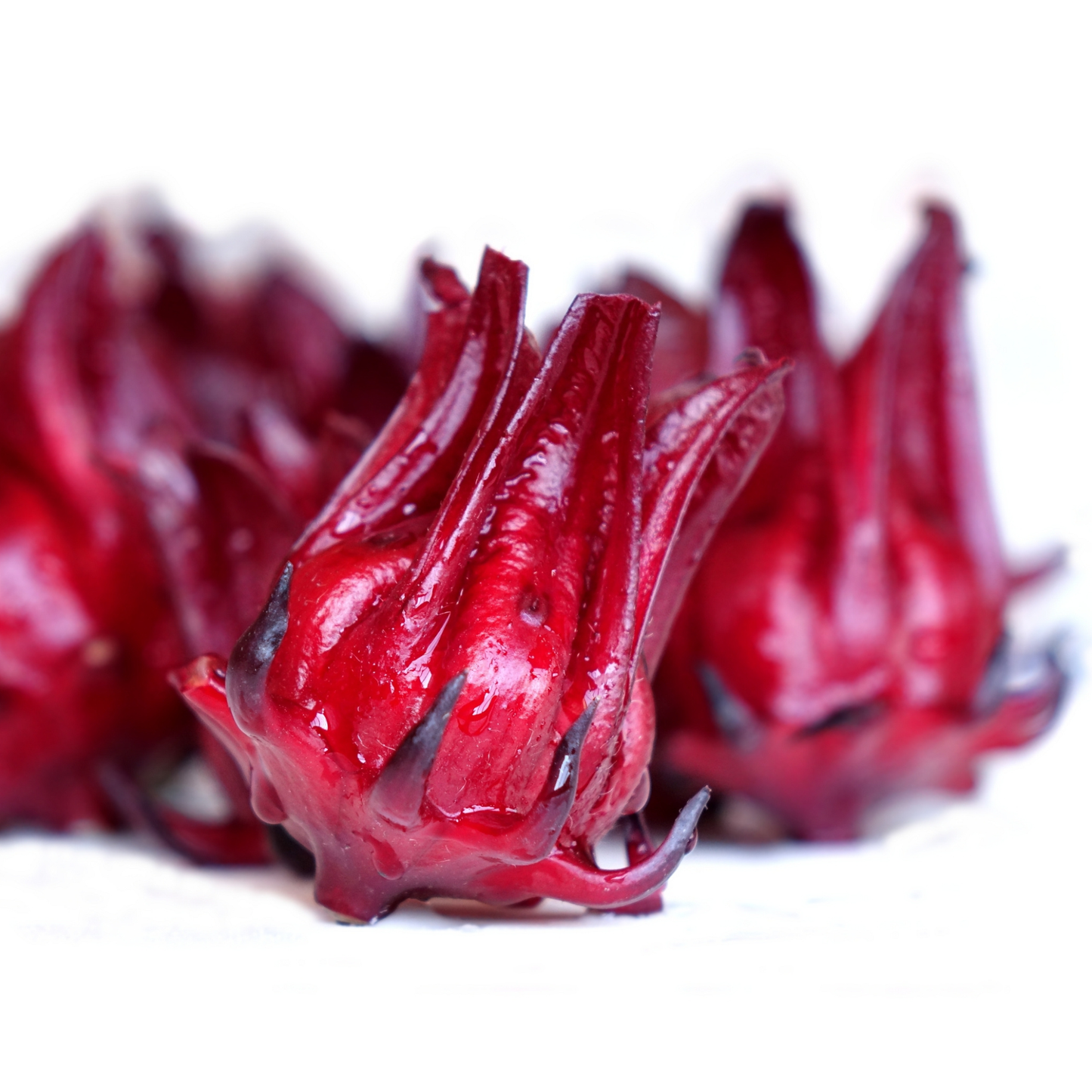 Seed Packet- Thai Red Roselle Hibiscus Tarot Garden + Gift