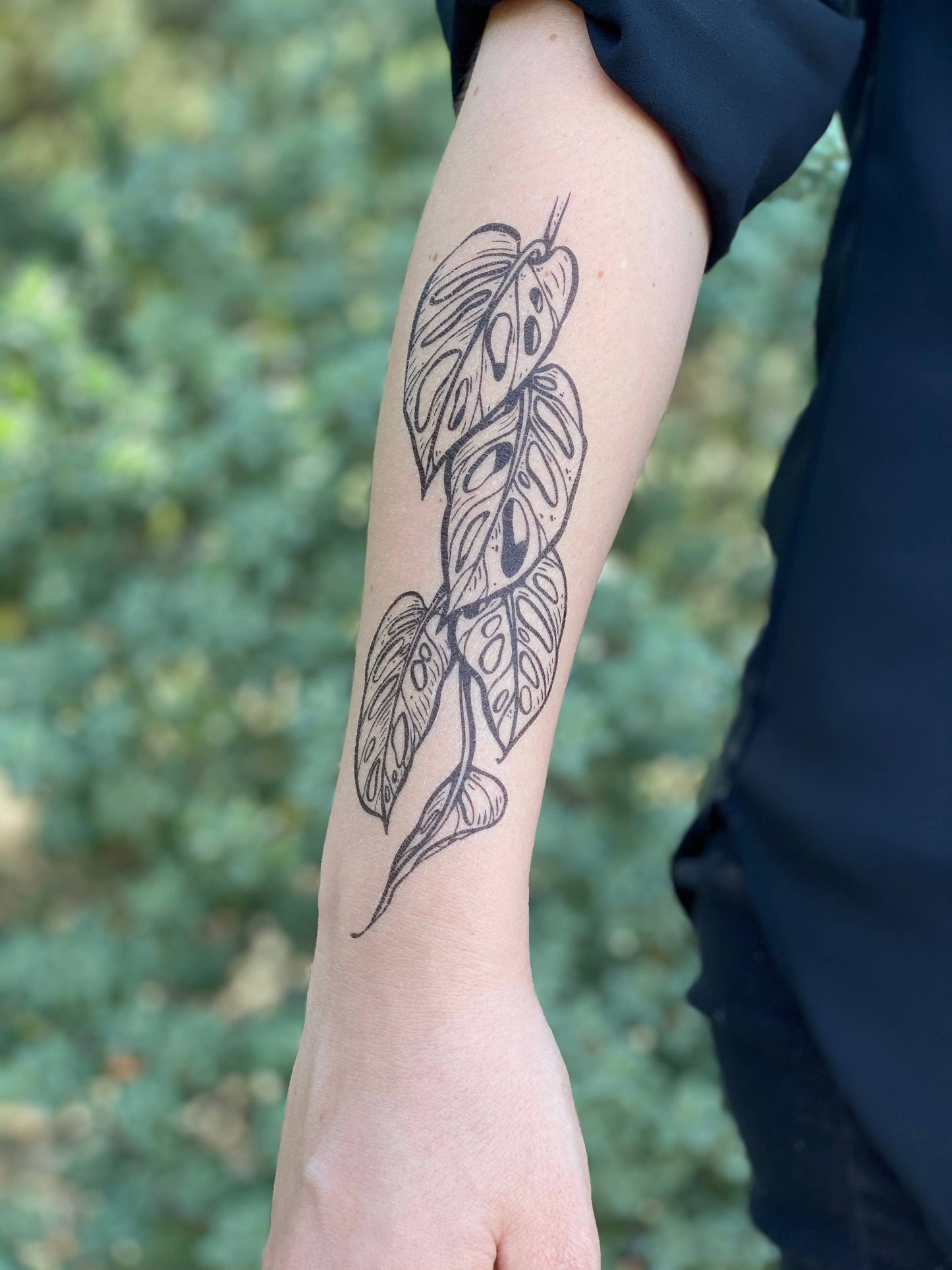 Monstera Vine Temporary Tattoo