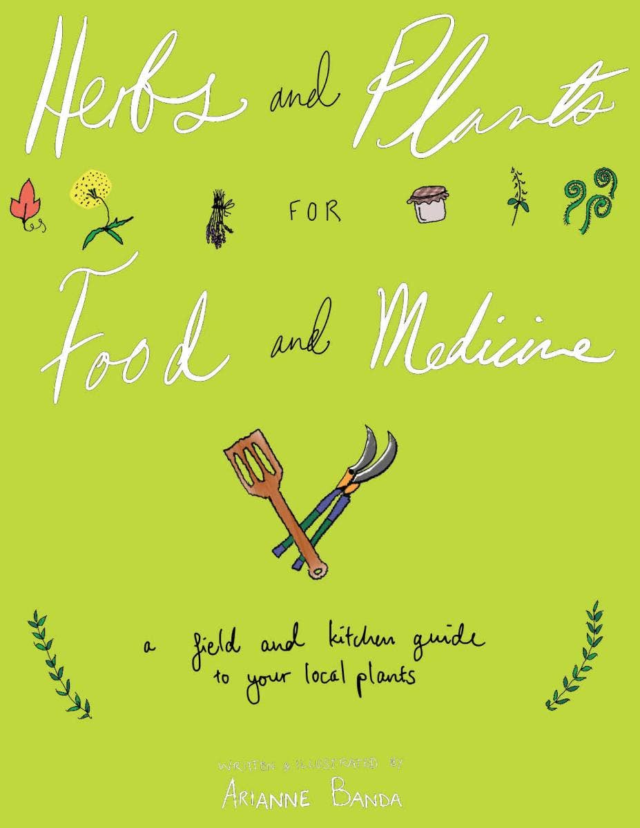 Herbs & Plants for Food & Medicine: Field Kitchen Guide Zine