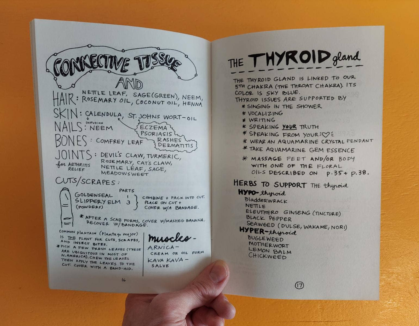 Healing Your Magical Body with Plants & Minerals (Zine)