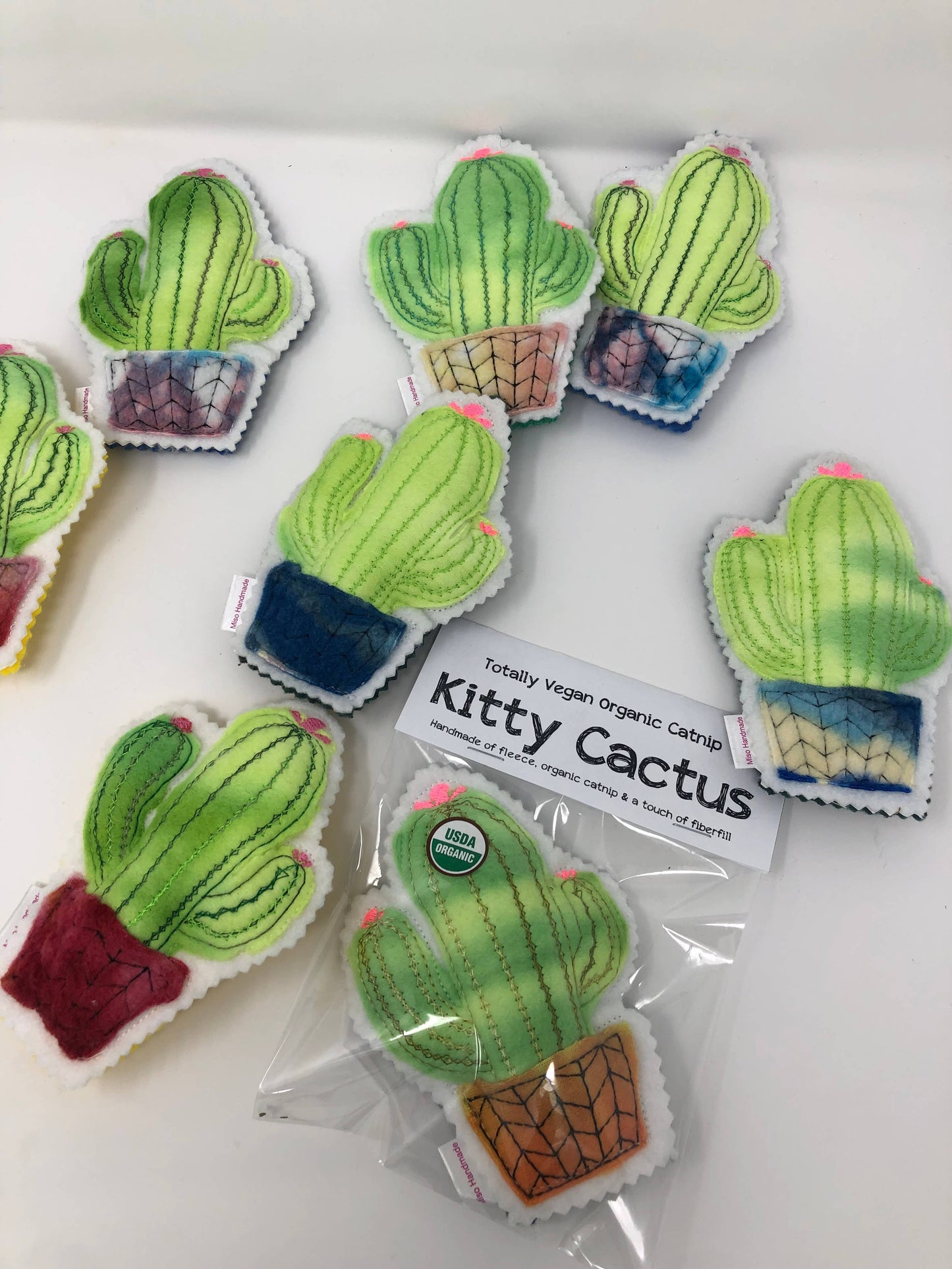 Catnip Cactus 