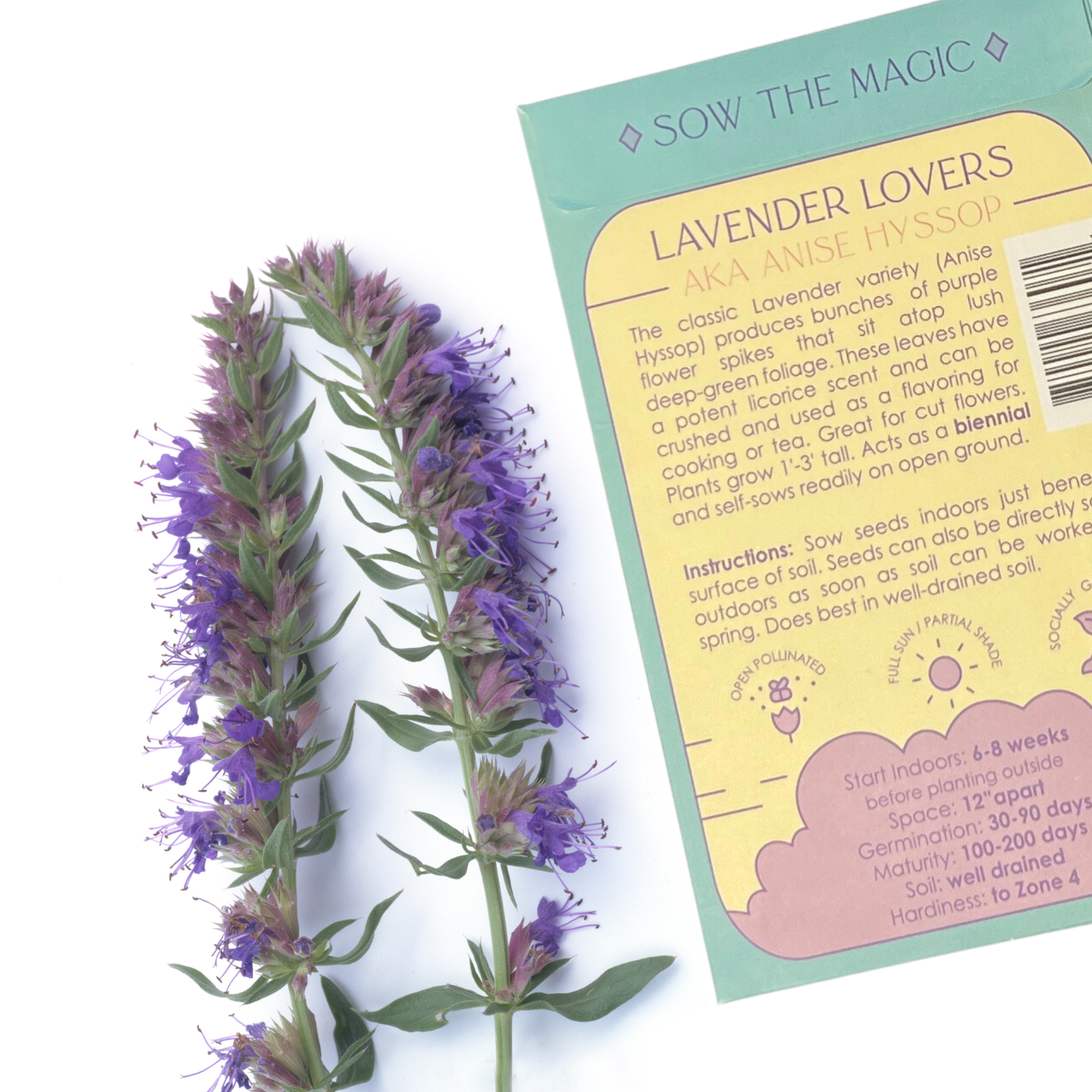 Seed Packet- Lavender Lovers Tarot Garden + Gift