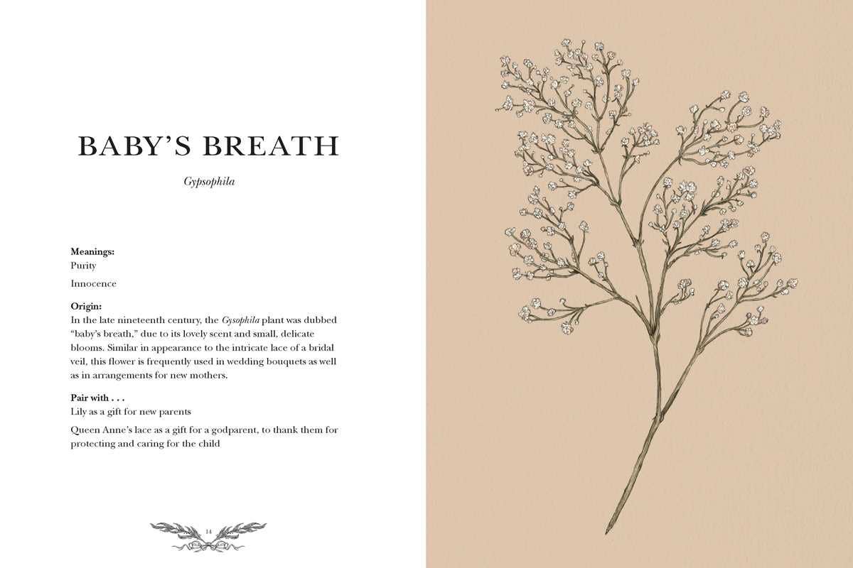 Floriography by Jessica Roux