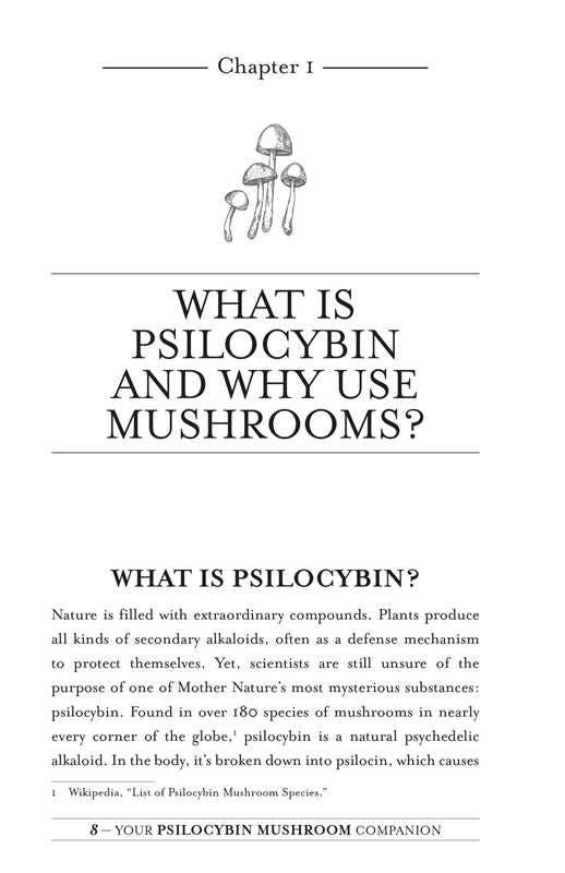 Your Psilocybin Mushroom Companion by Michelle Janikian