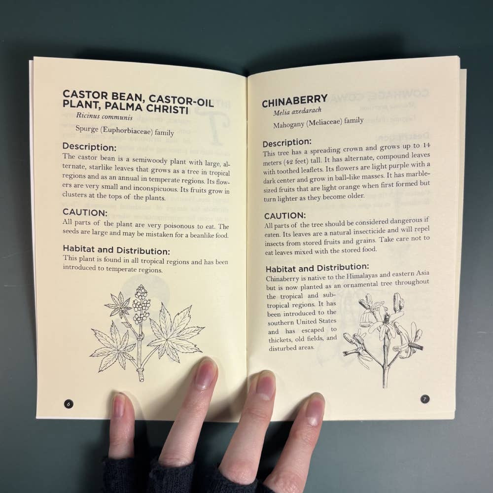 Poisonous Plants & How to Spot Them (Zine)