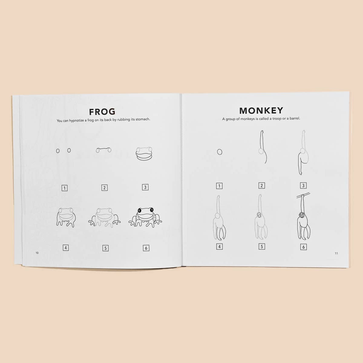 All The Animals: A How to Draw Art Book for Kids