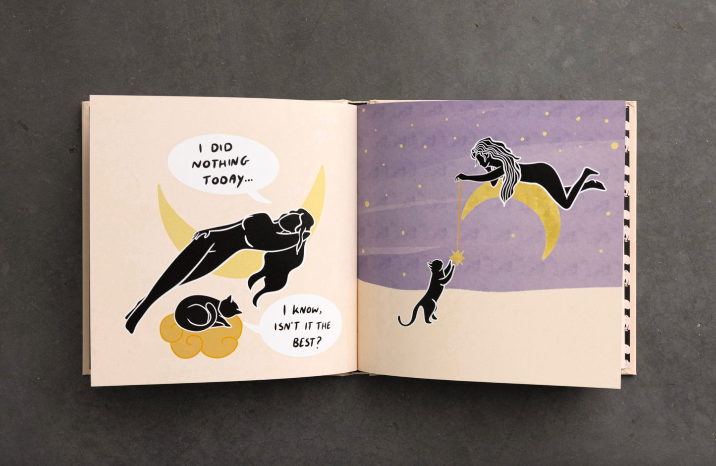 Conversations With My Cat - illustrated book