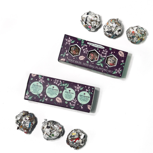 Seed Ball- Protection (Holy Basil) Mini Gift Box Set