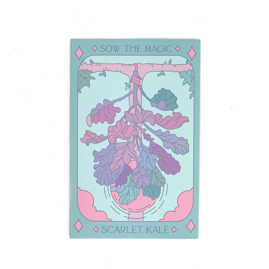 Seed Packet- Scarlet Kale Tarot Garden + Gift