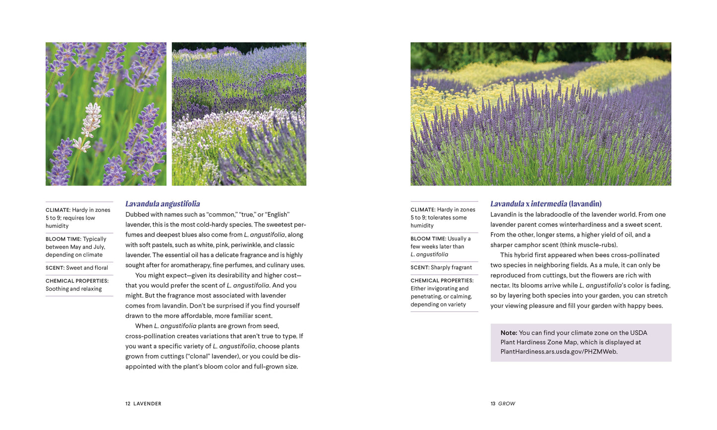 Lavender: 50 Self-Care Recipes and Projects for Wellness