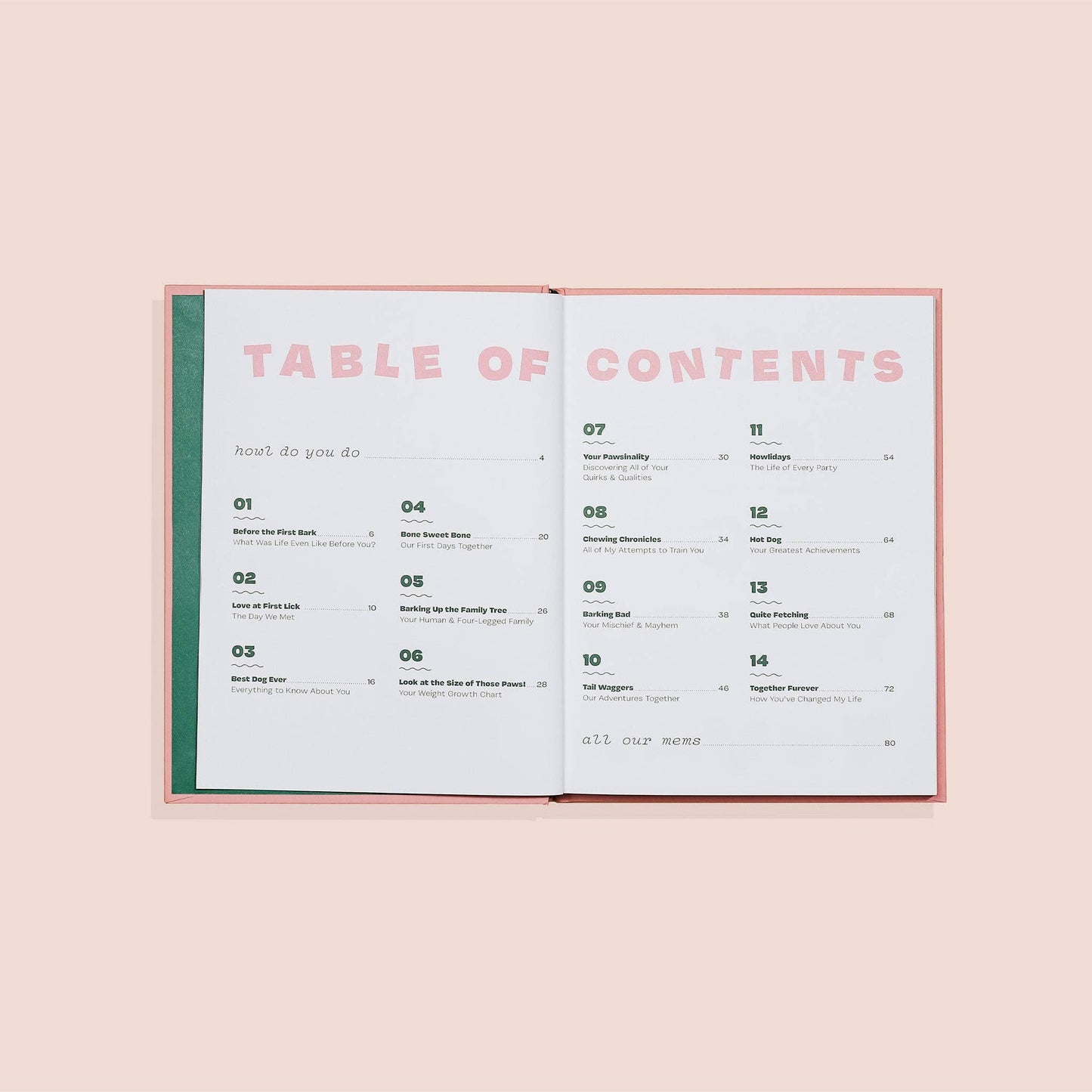 Puppy Love : A Keepsake Memory Book for Dogs (Dog Mom)