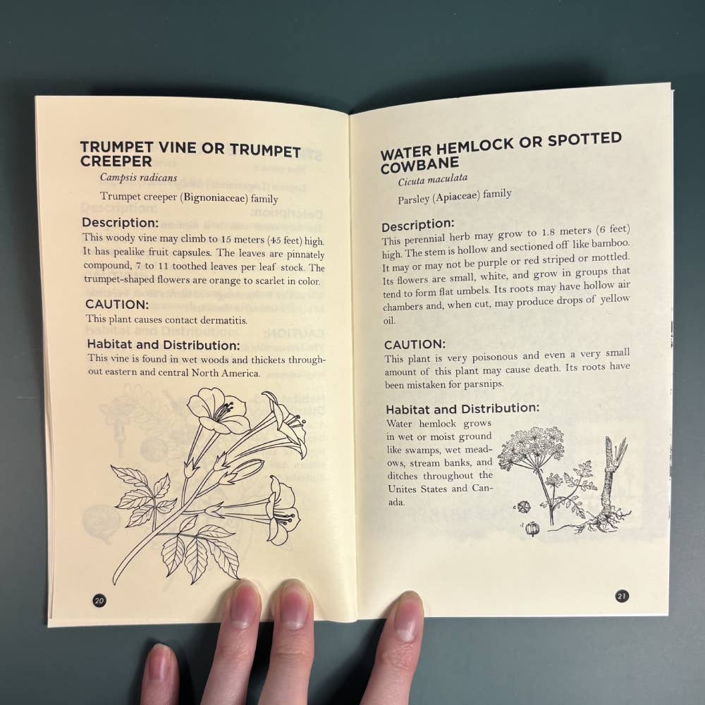 Poisonous Plants & How to Spot Them (Zine)