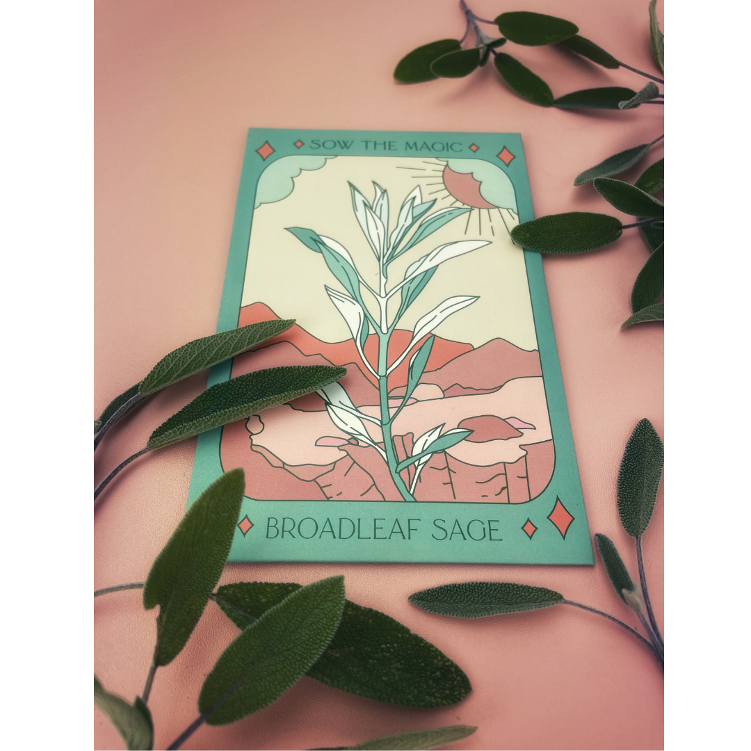 Seed Packet- Broadleaf Sage Tarot Garden + Gift