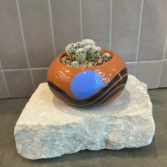 Cactus- Blue moons and black wavy lines painted planter - 1