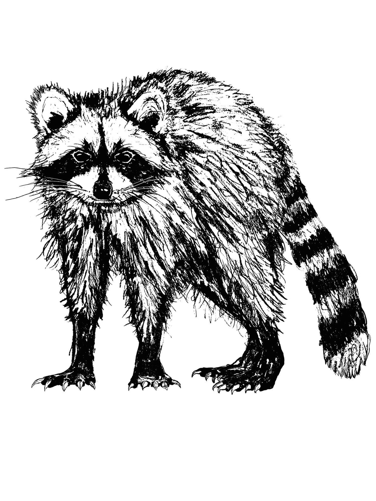 Raccoon Leo Unisex Heavyweight Tee