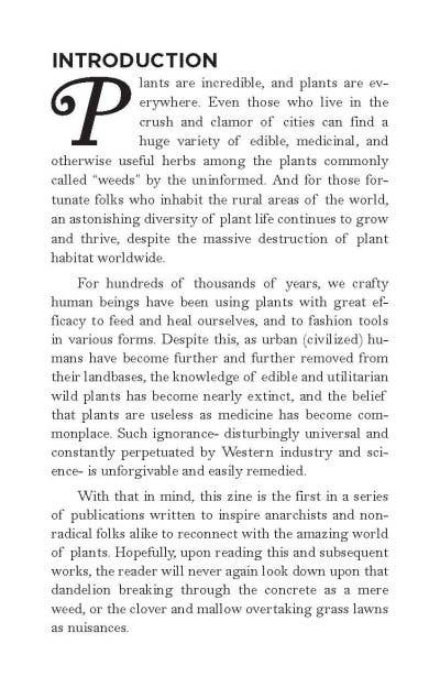 How to Eat Weeds: Medicinal & Utilitarian Common Plants