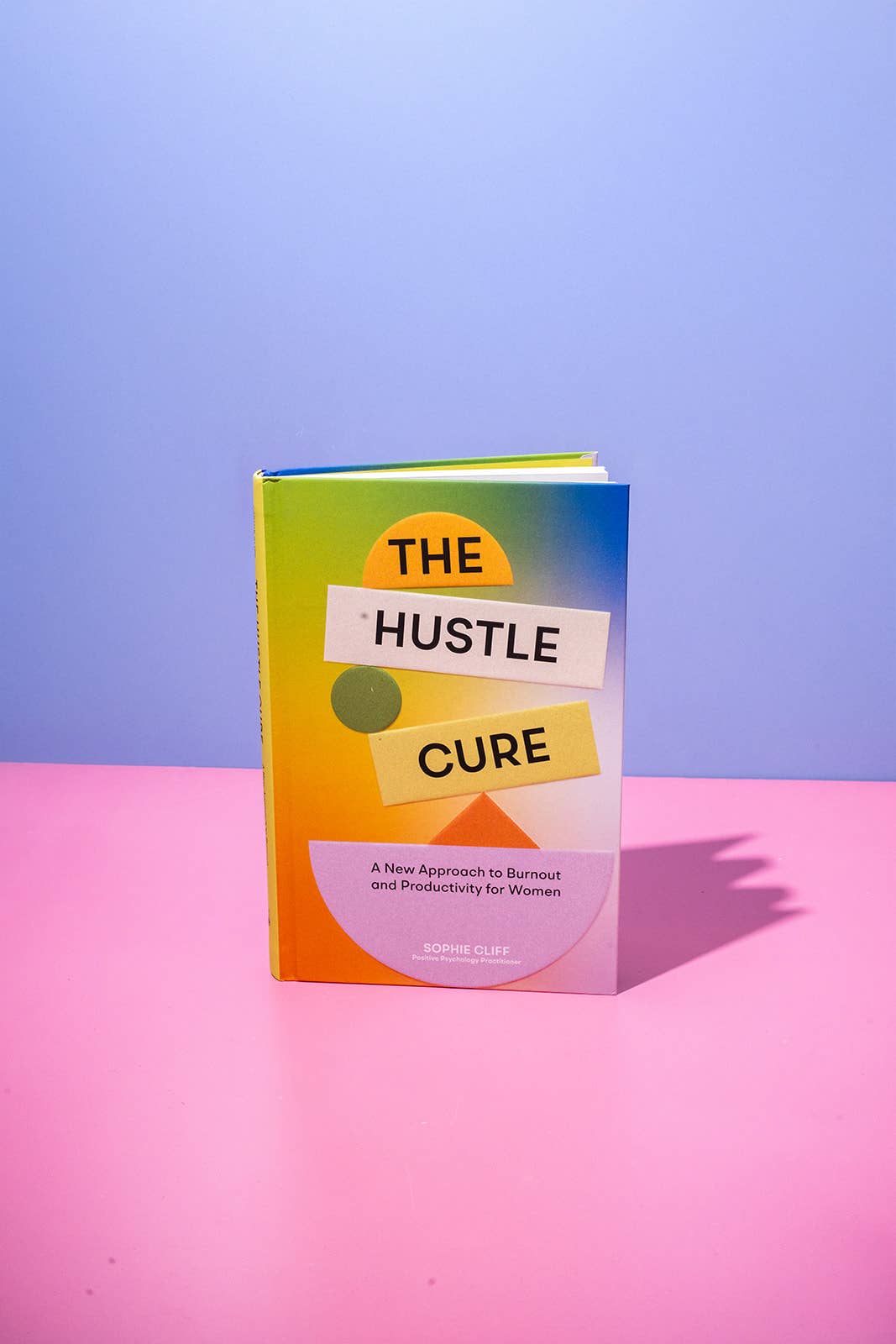 The Hustle Cure: A book for Women Seeking Balance and Joy